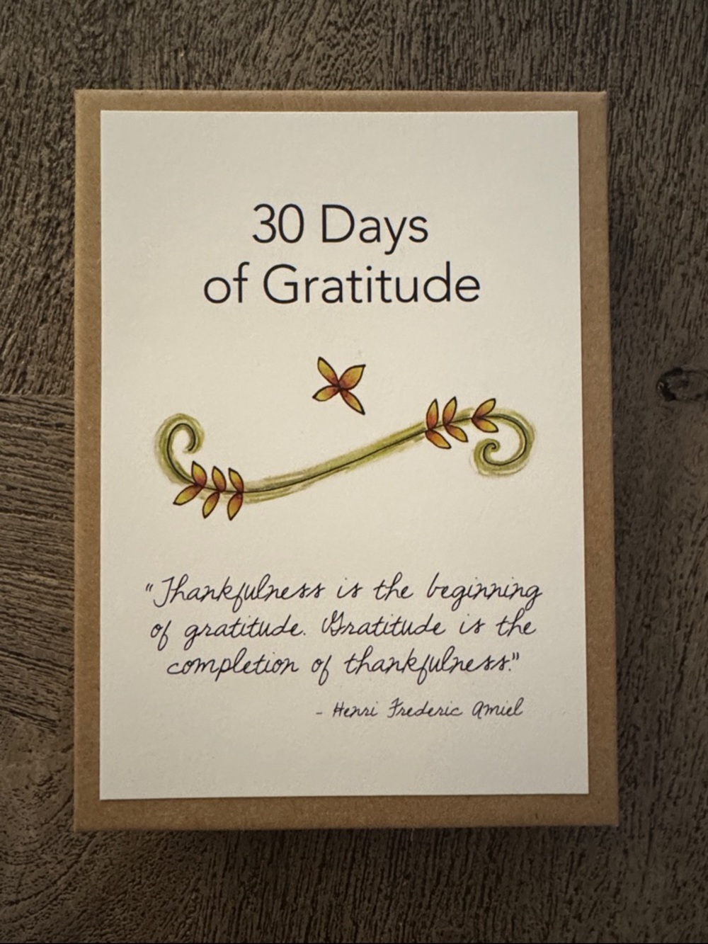 30 Days of Gratitude Journal Cards - White and Brown